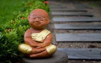 Không dính gì đến quy luật